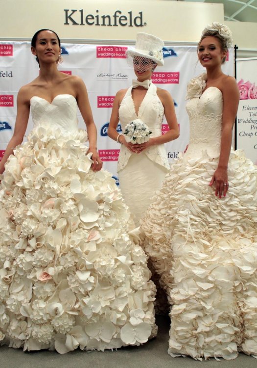 11th-annual-cheap-chic-weddings-toilet-paper-wedding-dress-contest.jpg