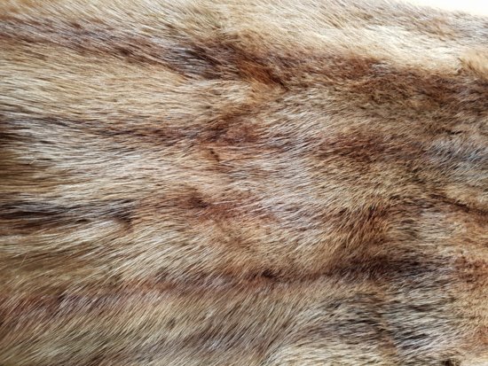 Fur Identification | Vintage Fashion Guild Forums