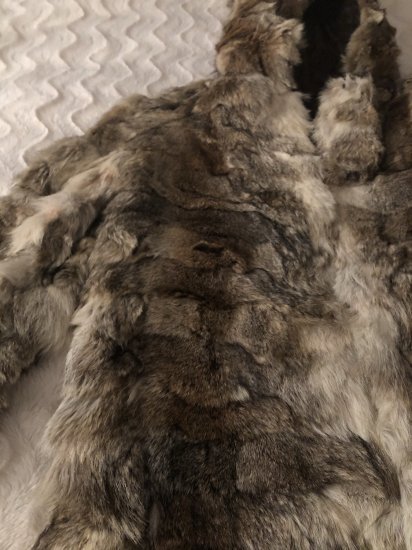 Help identify fur | Vintage Fashion Guild Forums