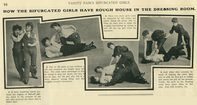 CatFight1903.JPG