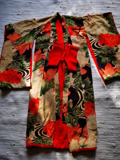 kimono 1.jpg