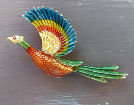 pheasant_vfg.jpg