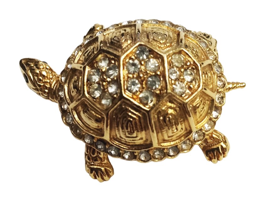 turt1.jpg