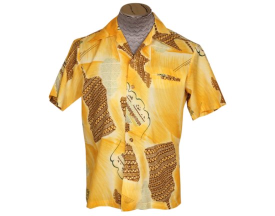 Weird Print on Hawaiian shirt.jpg