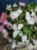 20190720_142540.jpg
