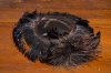 20190822-Feather-Hat.jpg 20190822-Feather-Hat.jpg
