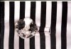 bound buttonhole.jpg