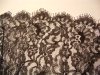 Black dress flounce lace.jpg