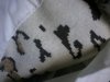 ysl5.jpg