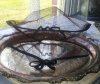 netting hat 016.jpg