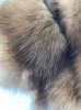 FC397049-2EBE-44E6-AAE8-6DD618F524F6.jpeg