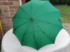 green parasol (3).jpg