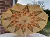 yellow parasol (6).jpg