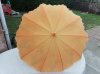 yellow parasol (7).jpg