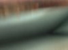 9F29C495-7500-4477-B16F-129BC9F23FAF.jpeg