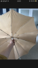 85A54D49-96CA-4157-BAA6-7738AAA6082B.png