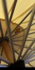 9968073F-51A0-4FFA-98F7-CBCA91560D94.jpeg