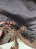 IMG_20220119_161432.jpg