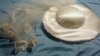 hat and veil.jpg hat and veil.jpg