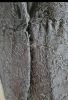 Screenshot_20220508-154105-807.png