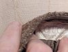 thumbnail (21).jpg thumbnail (21).jpg