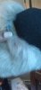20230610_103429.jpg
