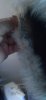 20230610_103535.jpg