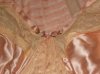 DSCN5148.JPG
