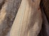 IMG_7030.jpeg