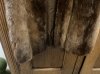 IMG_7022.jpeg