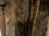 IMG_7021.jpeg