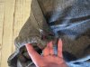 IMG_3559.jpeg