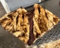 IMG_1436.jpeg