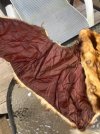 IMG_1437.jpeg