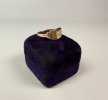 signet ring007.jpg