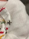 IMG_6940.jpeg
