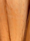IMG_2582.jpeg