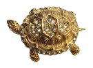 turt1.jpg