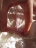 IMG_9696.JPG IMG_9696.JPG