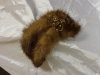 Fur Band Top.jpg Fur Band Top.jpg