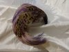 Purple Winklemans Hat.jpg Purple Winklemans Hat.jpg
