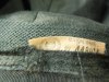 00411-001UnionLabel.JPG 00411-001UnionLabel.JPG
