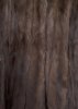 RABBIT Fur Close.jpg