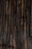 Brown WOODLAND MINK Fur.jpg