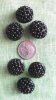 button5.jpg button5.jpg