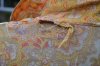 40s dressing gown paisley_0184.JPG