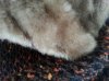 20160128_121320.jpg 20160128_121320.jpg