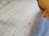 20160923_103728.jpg