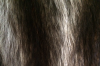 imagnin2.png imagnin2.png
