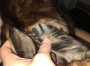 IMG_3867.JPG